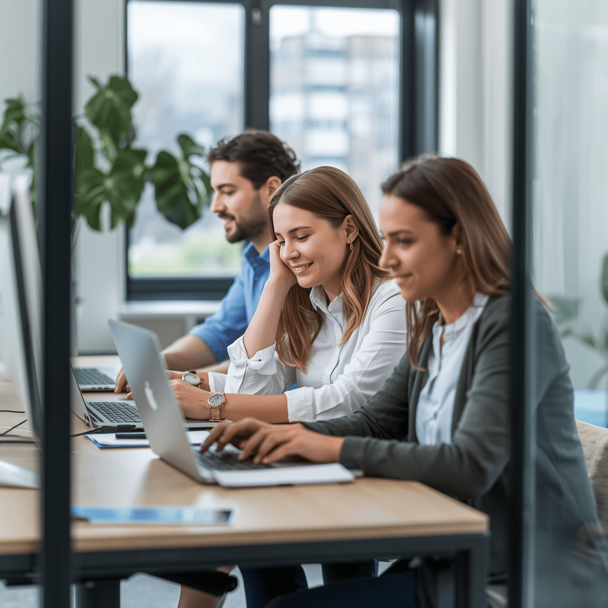 About Sitehave
